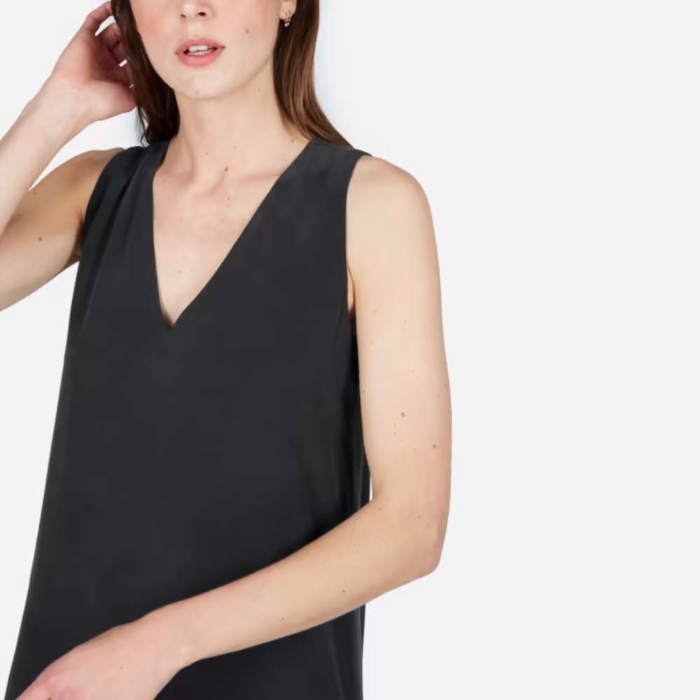 Everlane The Double-Lined Silk V-Neck Dress Size Medium
